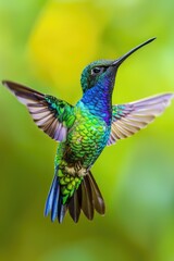 Aufkleber - A vibrant hummingbird in mid-flight, perfect for nature designs