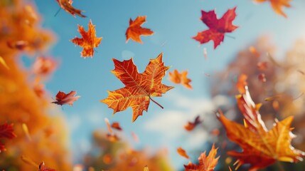 Poster - A bunch of leaves floating in the air, suitable for nature and autumn themes