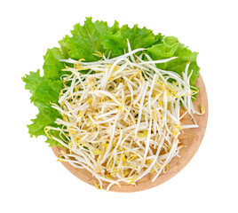 Wall Mural - Bean sprouts transparent png
