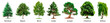 Set of different trees isolated on a white or transparent background. Bundle of trees with green leaves close-up, front view. Graphic design element on the theme of nature and caring for trees.