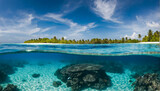Fototapeta Do akwarium - Underwater Ocean Reef 