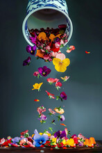 Colorful Pansy Flowers Fall Out Of A Cup On A Dark Background