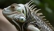 An Iguana With Intricate Patterns On Its Scales