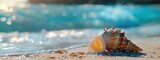 Fototapeta Przestrzenne - A beautiful conch shell on the sand beach with a blue ocean in the background, with copy space.