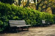 StockImage Park bench offers a tranquil spot next to a lush hedge