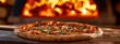 delicious and appetizing wood-fired pizza