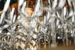 Empty glasses stands in row on rack bar for restaurant backgrounds, full frame. Close-up of wine or champagne clean glasses in row prepared by bartender for event ceremony. Copy ad text space design