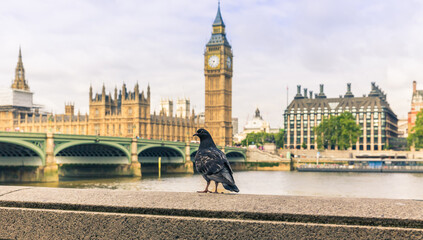 Wall Mural - Big Ben in London