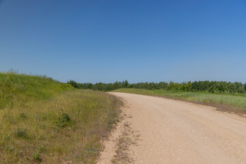 Wall Mural - a road in a field with agricultural plants in summer