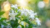 Closeup white jasmine flower on natural blur background. AI generated image