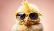 Closeup of a fluffy white chicken sporting oversized orange sunglasses against a vivid yellow background, A yellow bird with sunglasses on its face