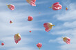 Tulip flowers in the sky flying. Summer and Spring aesthetic idea.