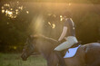 Equestrian portraits on a roan bay horse riding in English Tack hunter jumper eventing with sun rays 