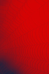 Wall Mural - spider web
