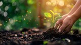 Fototapeta  - Hands of farmer growing and nurturing tree growing on fertile soil with green and yellow bokeh background