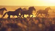 A close-up portrait silhouette of horses running on plains, the sun casting long shadows, highlighting their graceful movement, vintage filter
