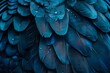 Bird animal texture design round pigeon crow cygnet. Generative Ai