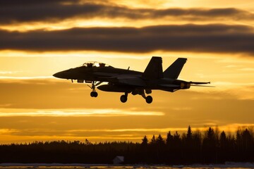 Wall Mural - A modern fighter plane standing out against the dusky sky