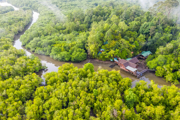 Wall Mural - aerial view of mangrove forest at Sepilok Laut, Sabah Borneo, Malaysia.