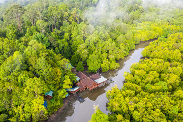 Wall Mural - aerial view of mangrove forest at Sepilok Laut, Sabah Borneo, Malaysia.