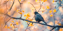 Male Blackbird On Branch Autumn Leaves Selective Focus Of Black Bird.AI Generative