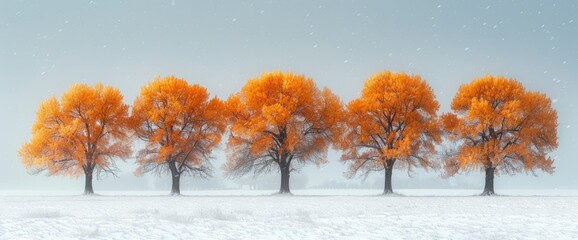 Wall Mural - Trees Without Leaves Snow Front View, Background Banner HD