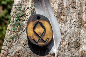 Wall Mural - Rune Odal (Othala) carved from wood on a wooden background - Elder Futhark