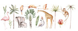 Fototapeta Dziecięca - Watercolor illustration of African Animals: elephant and monkey, cockatoo, wild parrot and giraffe, flamingo isolated white background. Safari savannah animals.