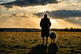 Fototapeta Sport - Lost sheep on autumn pasture. Concept photo for Bible text about Jesus as sheepherder who cares for lost sheep