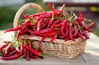 basket filled with freshly picked chili peppers