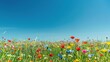 A field of colorful wildflowers stretching to the horizon, under a clear blue sky
