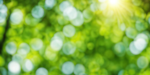 Poster - Sunny green foliage bokeh background