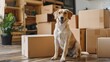 New Beginnings: Faithful Labrador Amidst Moving Day Chaos Generative AI
