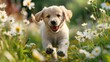 Joyful Puppy Frolic: A Lively Dash Amongst Summer Blooms - Generative AI