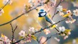 Spring Serenade: Blue Tit Perched Among Cherry Blossoms Generative AI