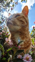 Wall Mural - Ginger cat among pink flowers under sunny sky