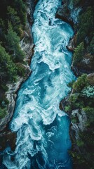 Wall Mural - Aerial view of a turbulent river flowing through a forest