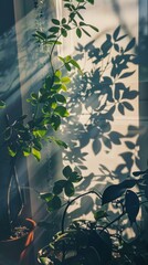 Wall Mural - Indoor plants with sunlight casting shadows