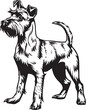 Fox Terrier   Vector