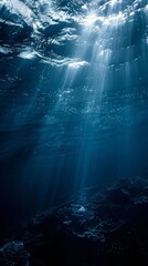 Wall Mural - Underwater scene with sunbeams filtering through water