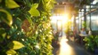 Sunlit indoor greenery and plants in a modern office environment

