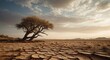 Dry and barren land due to drought