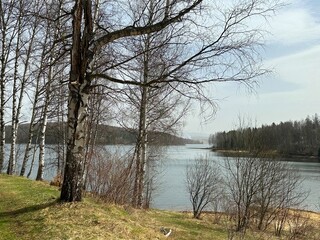 Lake in the forest