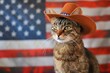 cowboyhatted cat in front of an american flag