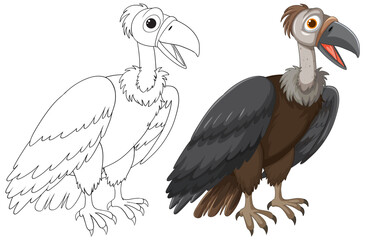 Canvas Print - Vector graphic of a vulture, illustrated in two stages.