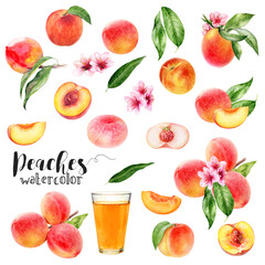Wall Mural - Watercolor illustration of peaches set close up. A large set with different peach varieties, on a branch with leaves, flowers, glass of juice and sliced peaches. 