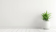 Green Potted Plant in a Minimalist White Room Copy Space 