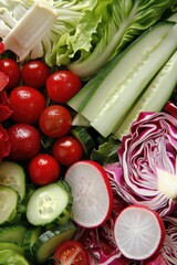 Poster - Fresh vegetable salad ingredients with lettuce, radish, cucumber, and tomato.
