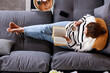 © dragonstock - High angle shot of a young woman reading a book on the sofa at home