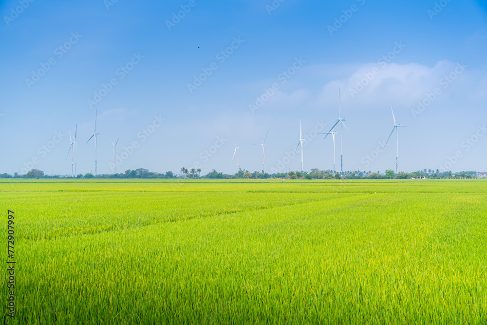 Windmill Rice Local view of turbine green energy electricity, windmill for electric power ...